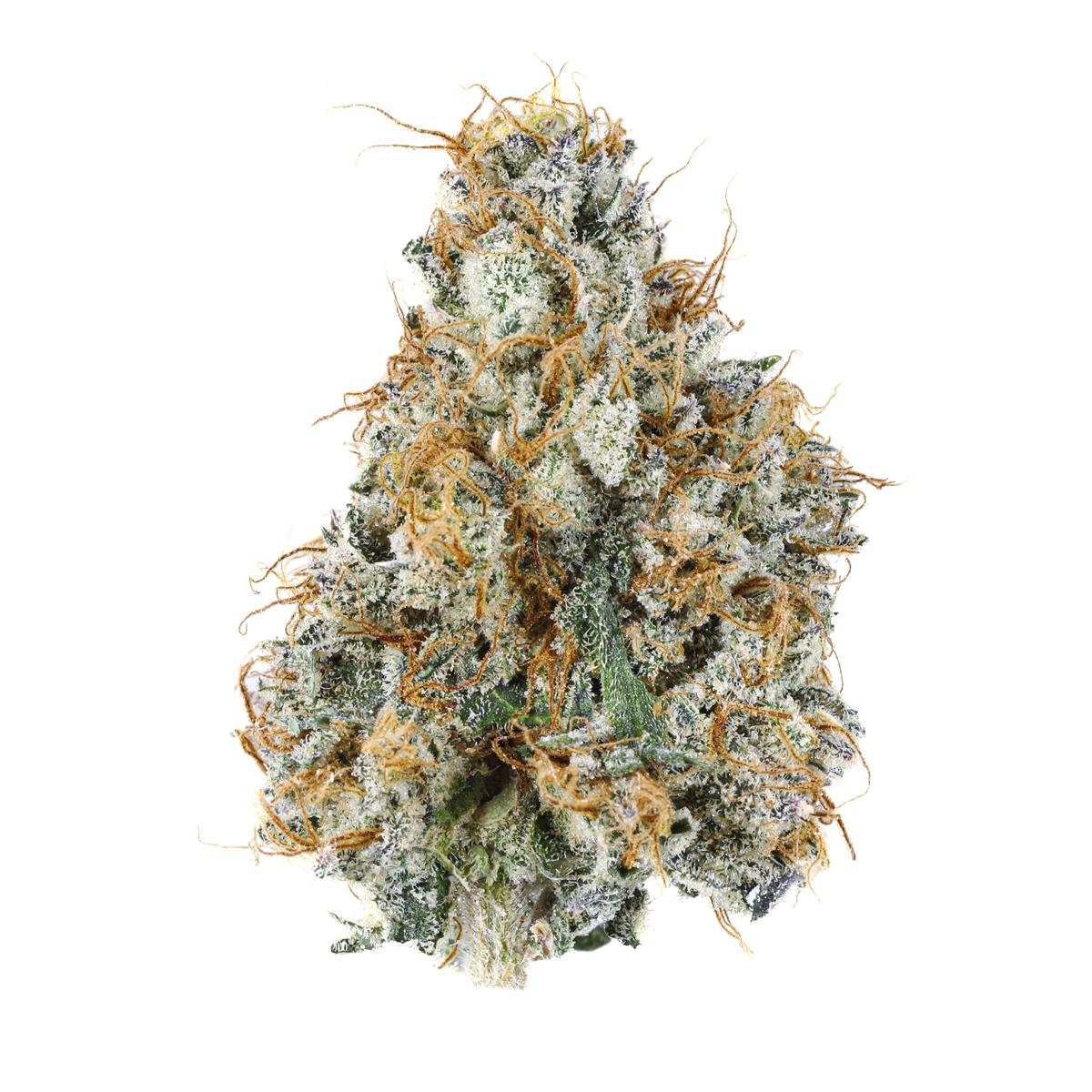 Good Green - Flower - Gary Payton (S) (14.0g)