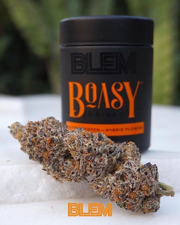 Butterscotch Flower | 3.5g