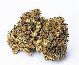 Grape Z | Big Buds | 3.5g
