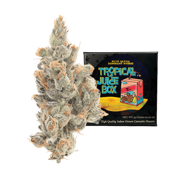 Tropical Juice Box