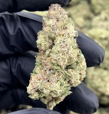 Gushlatti 3.5g (25% THC)