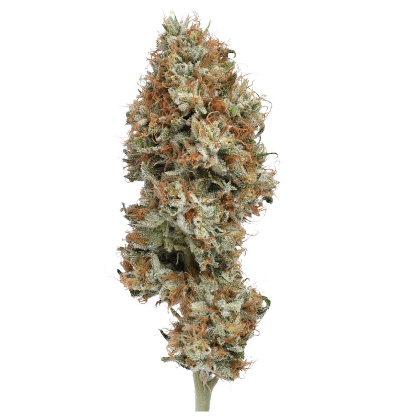 Green Dawg | Dawgwalker | Big Buds | 3.5g