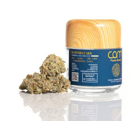 CAM | Planet Z Bx1 | Big Buds | 3.5g