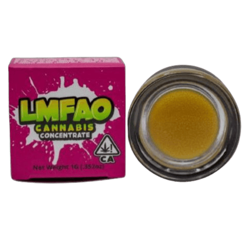 LMFAO CANNABIS BISCOTTI PIE (I) 1G RESIN