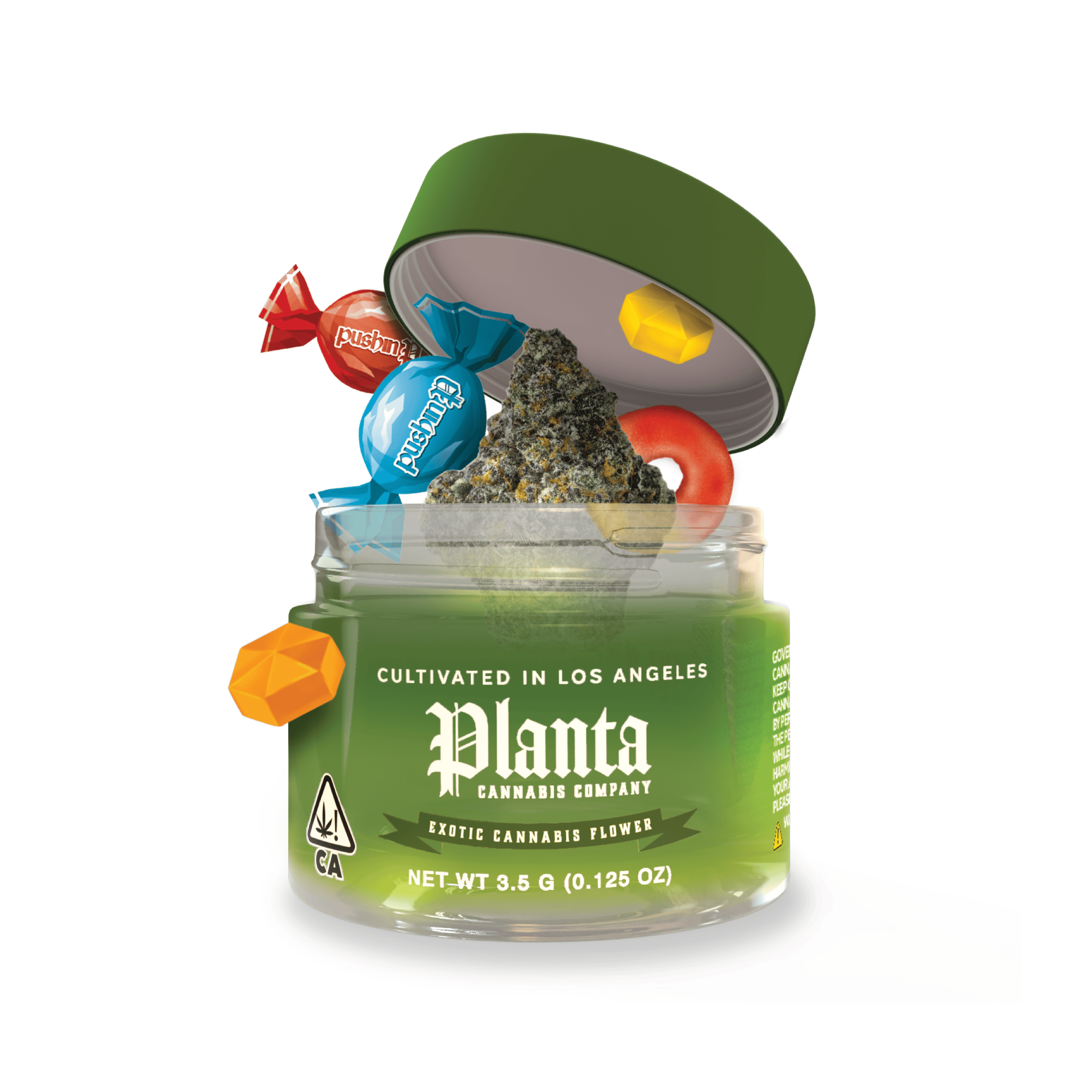 Planta Cannabis Co | Coffin Candy | Big Buds | 1g