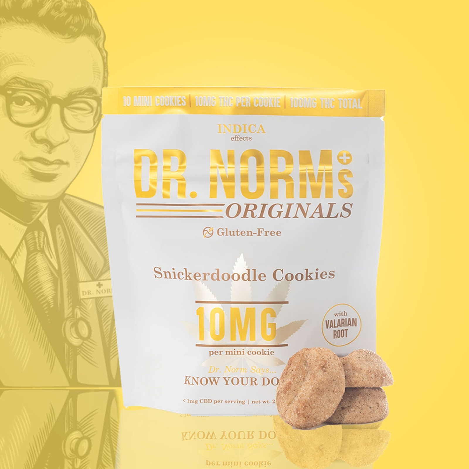 Dr. Norm's- 100mg Snickerdoodle (10 cookies)