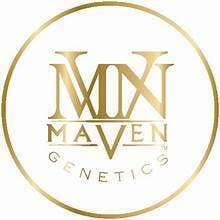 Maven 3.5g Dirty Laundry $40