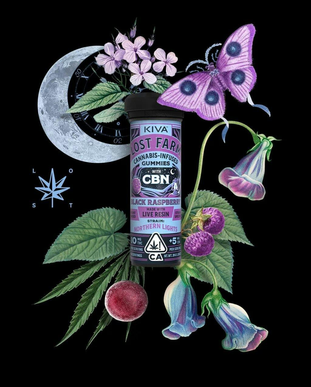 BLACK RASPBERRY LIVE RESIN CBN 10:5 GUMMIES B5