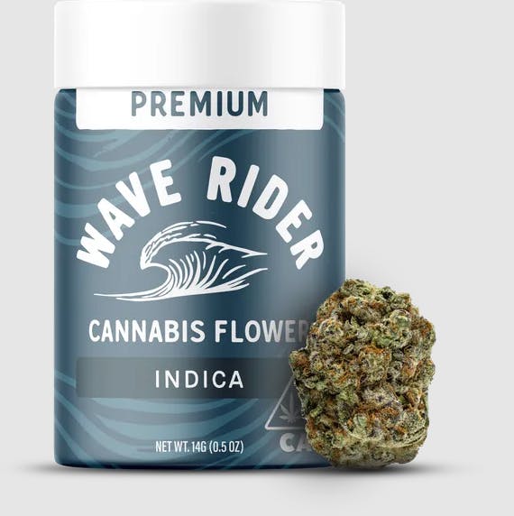 Wave Rider | Forbidden Jelly | Big Buds | 14g