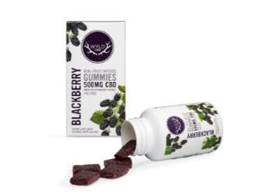 WYLD | Blackberry CBD Gummies