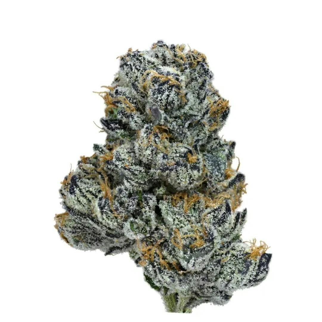 Smoken Promises | Violet Dreamsicle | Flower | 3.5g