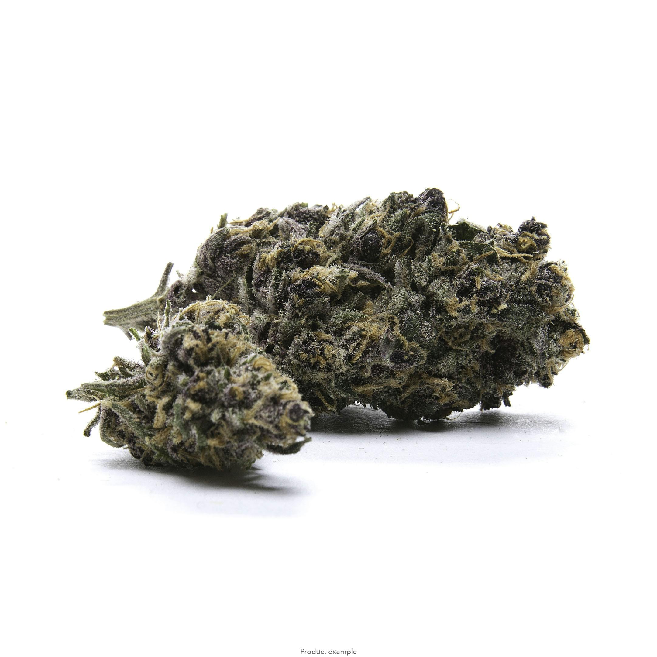 Fleur | Sin City CBD 1g