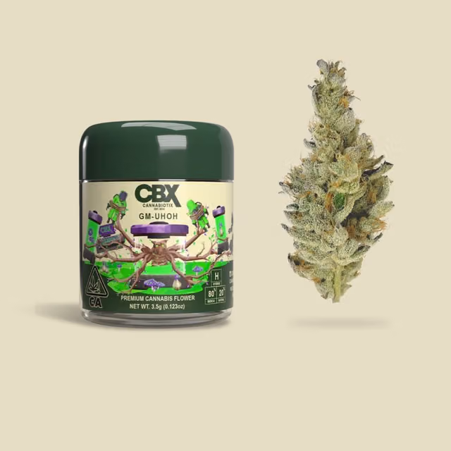 GMO by Cannabiotix (CBX)