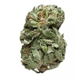 Trendi | 5150 Triangle Kush
