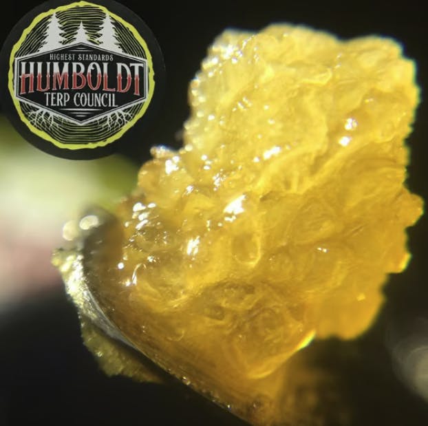 Humboldt Terp Council | Gen Z | Live Resin | 1g
