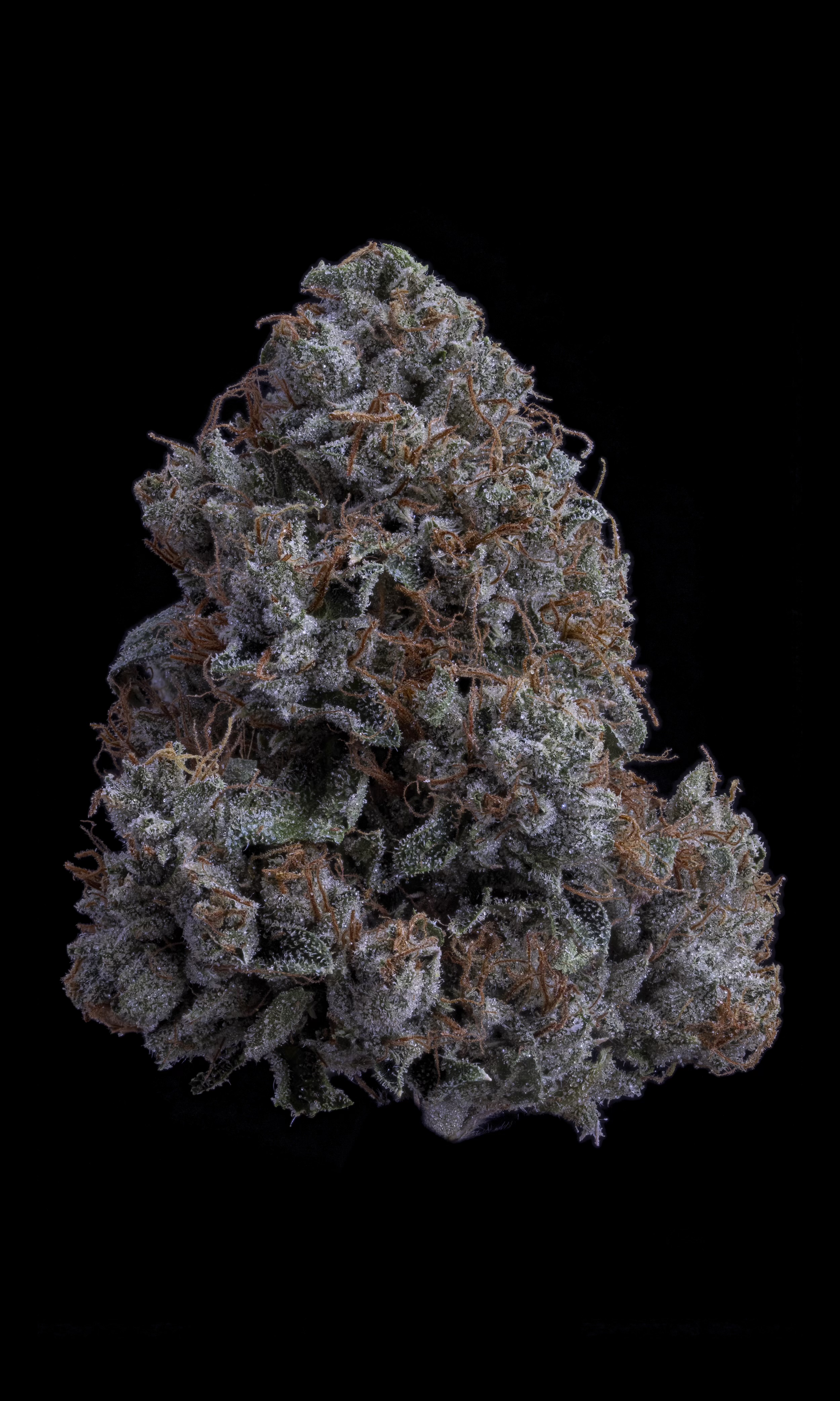 Sticky Status - K1 OG 3.5g