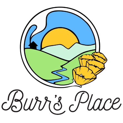 Burr's Place • 3.5g • Orange Creampop SMALLS • $14 • *Tax Included
