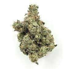 Mojo | Gypsy Road | Big Buds | 14g
