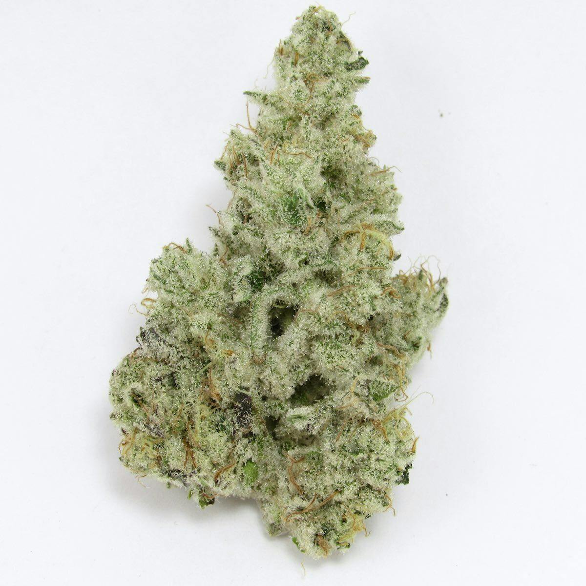 AMA | Cap Junky