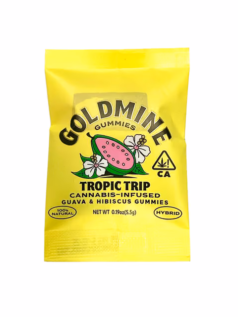 Tropic Trip Guava & Hibiscus Gummy Tin - 10 MG THC