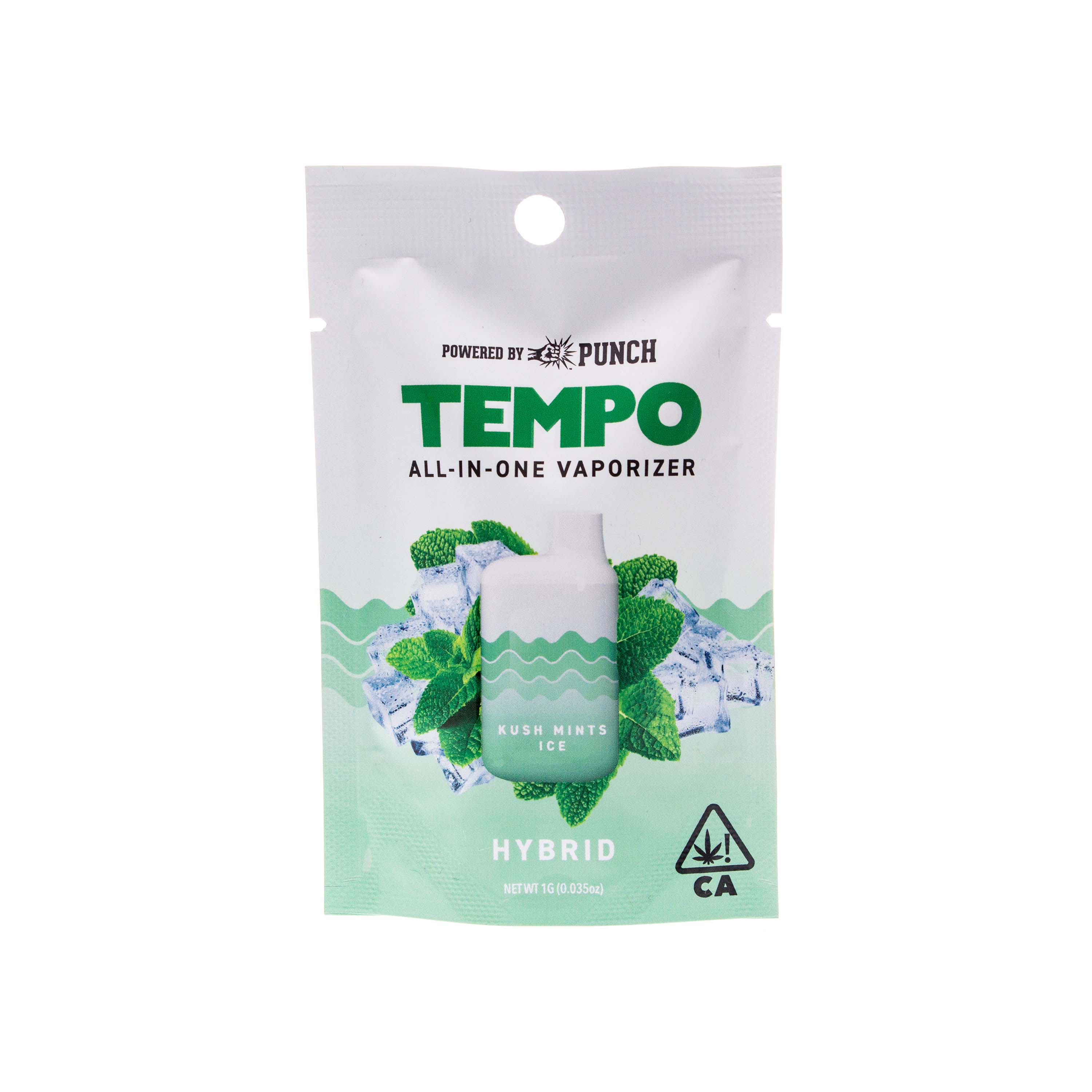 Tempo | Kush Mints Ice All-In-One Vape (1g)