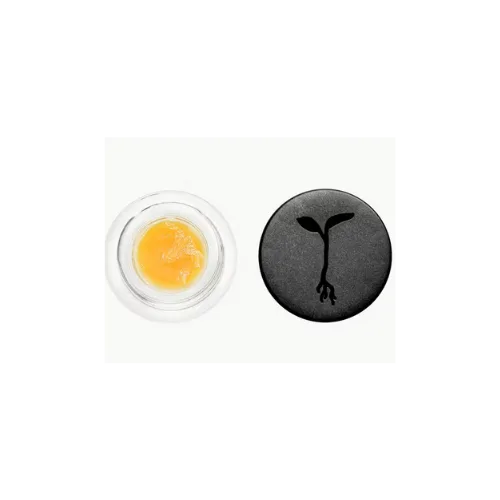 Raw Garden - Sherbert Glue Live Badder