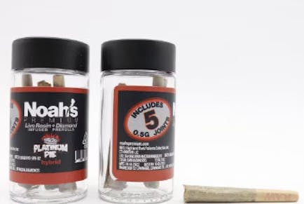 NOAH'S | PLATINUM PIE 5PK INFUSED PREROLLS - 1 Pack
