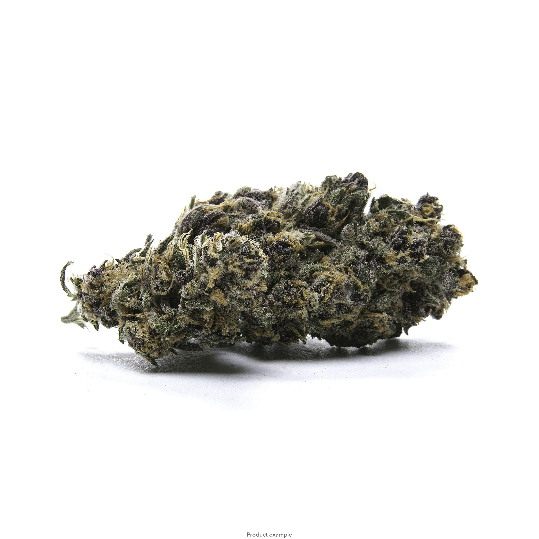 Lush | Jessica Rabbit 1g