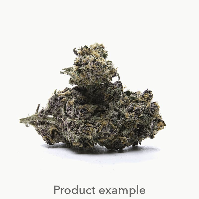 Gush Mintz – Flower – 3.5g