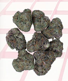 Midzotics | Dark Web | Big Buds | 14g