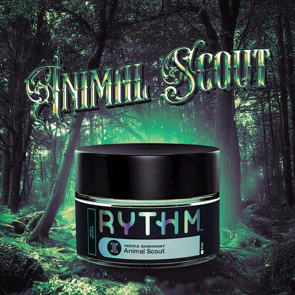 Animal Scout