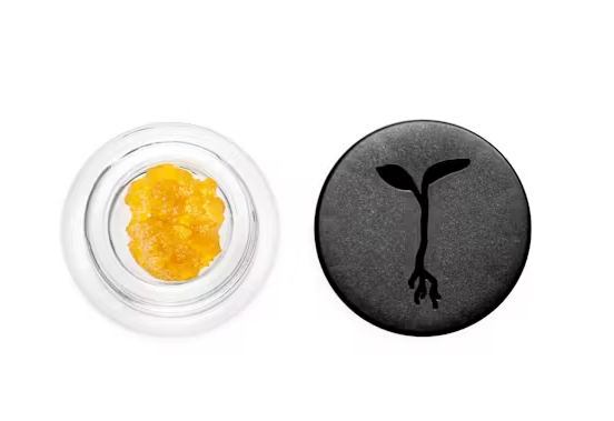 Raw Garden - Concentrate - Apple Fritter #74 - 1G