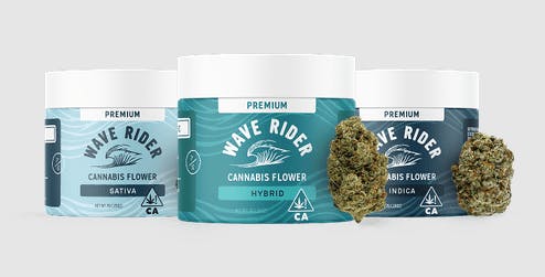 Wave Rider | Biscotti | Big Buds | 7g