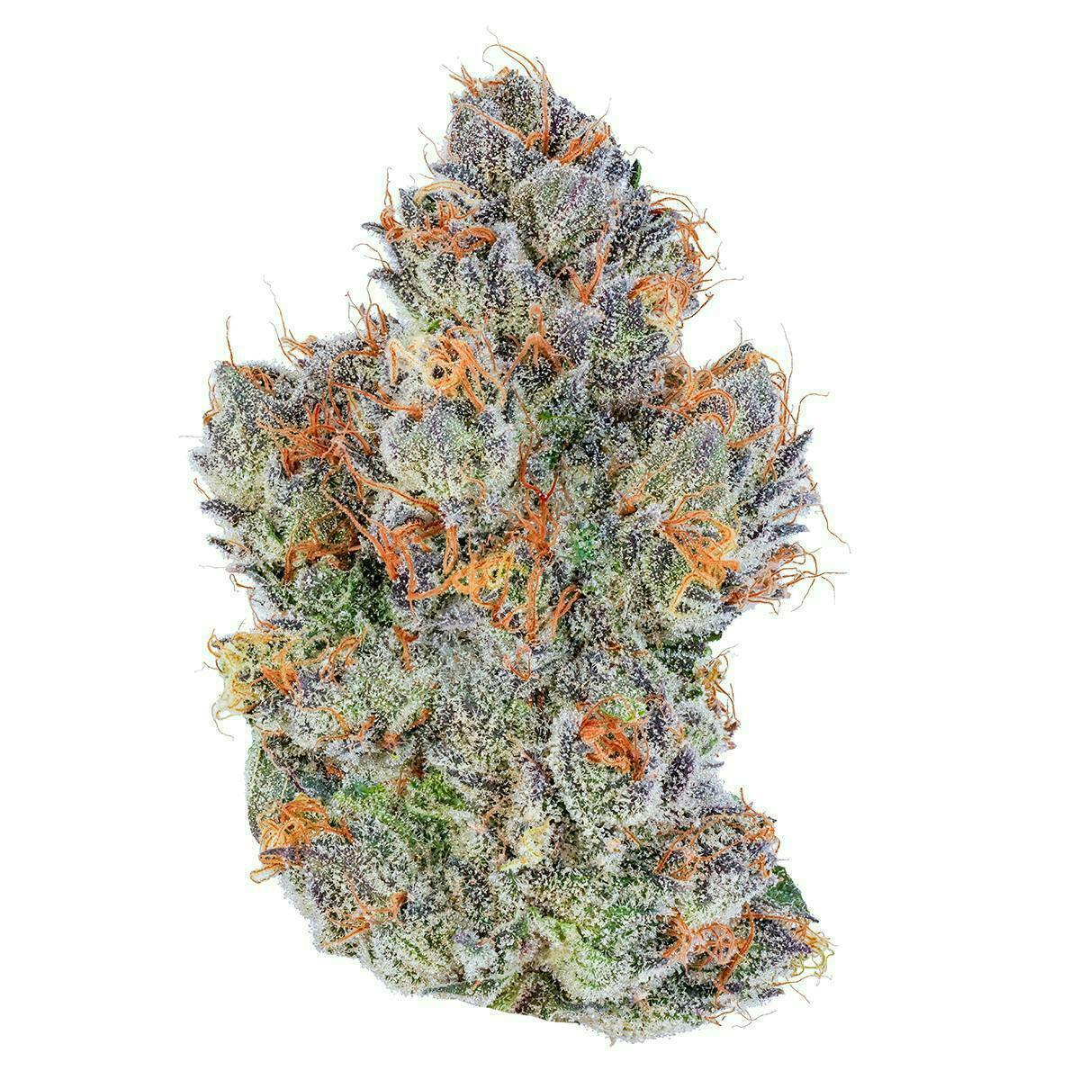 Fig Farms | Fig & Cherry | Big Buds