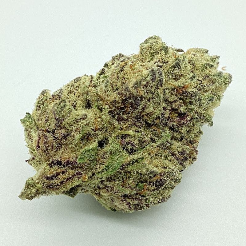 Biscotti x Sunset Sherbert 3.5g Flower