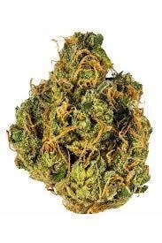 AMA | Katana OG