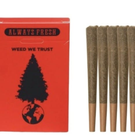 Big Tree - Prerolls Blackberry Kush - 5 g