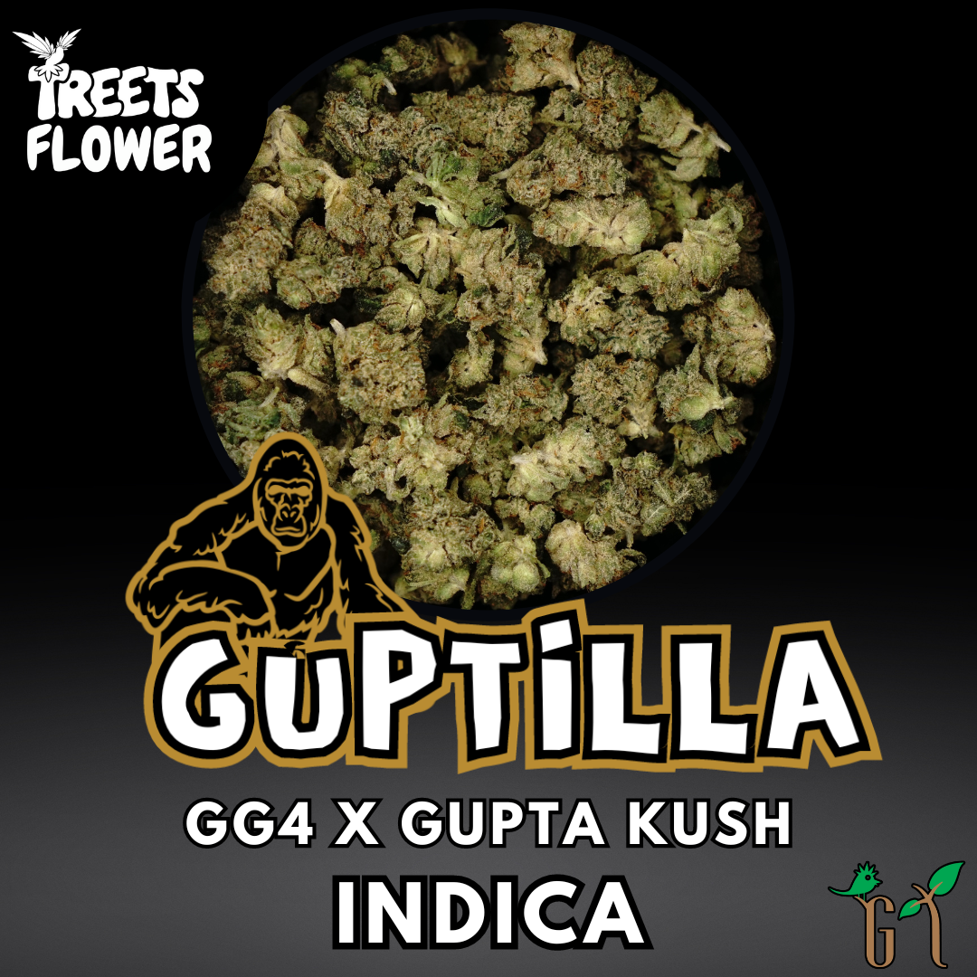 Flower - Guptilla - Special Tier