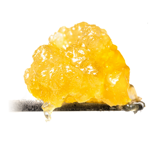 West Coast Cure - Pink Cookies Live Resin Sugar (1g)