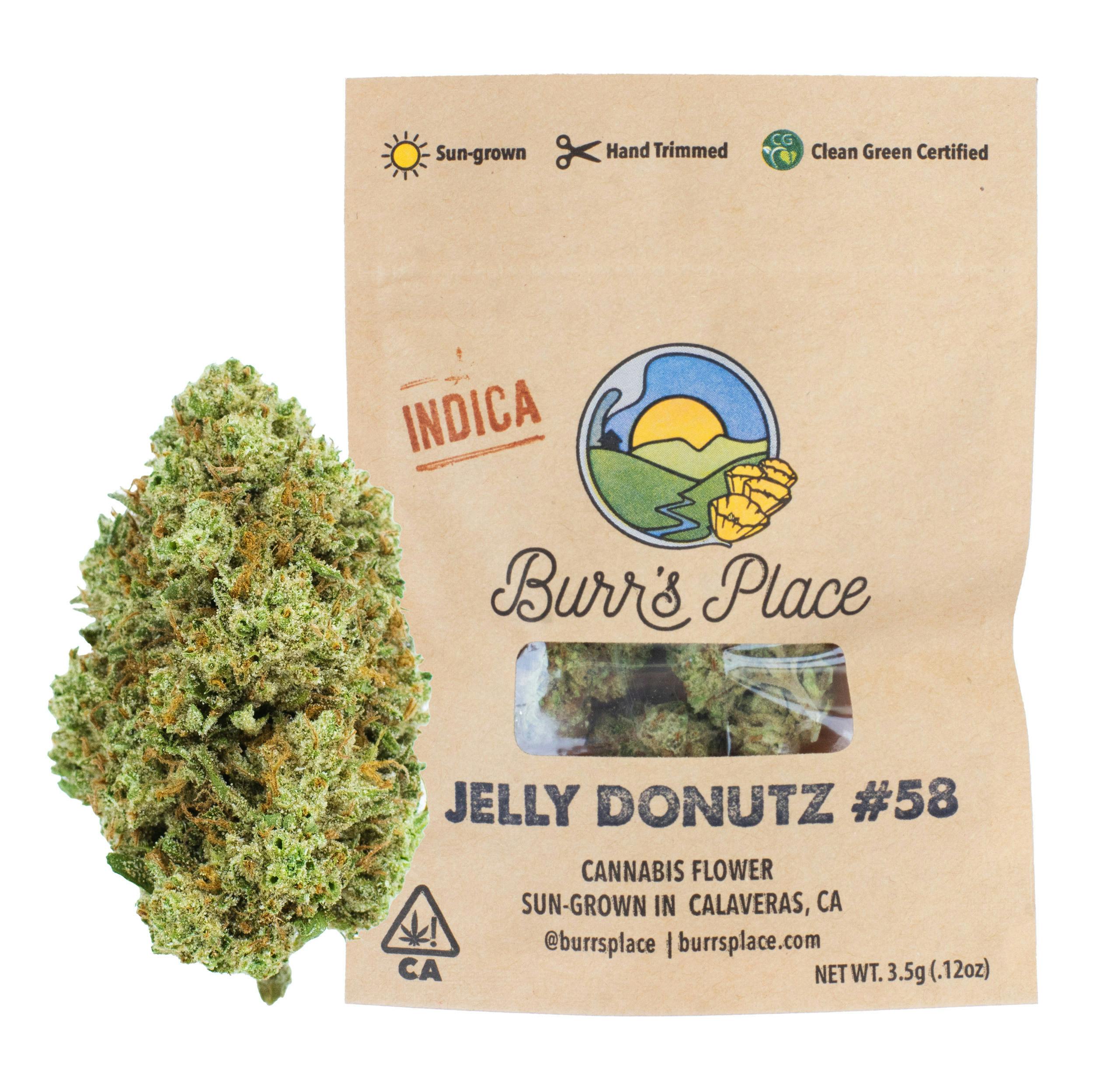 Burr’s Place | Jelly Donutz - 3.5g Bag (Indica)