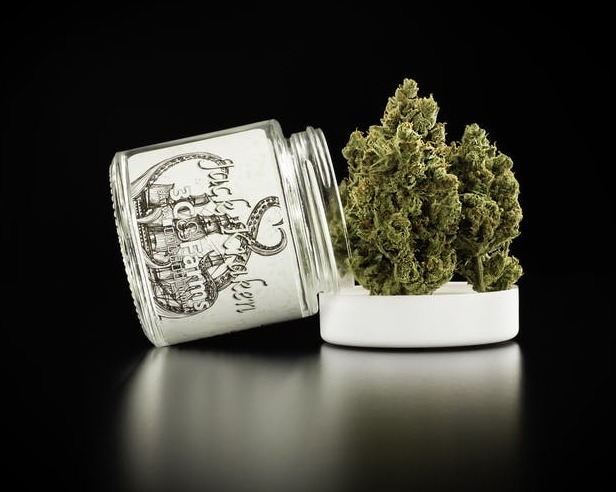 3C Farms - Jack Kraken - 3.5g