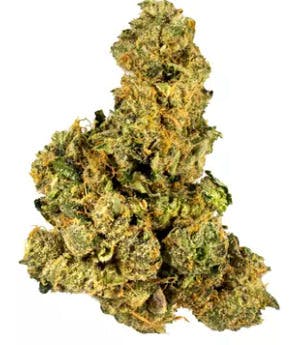 GLP | Hazmat OG