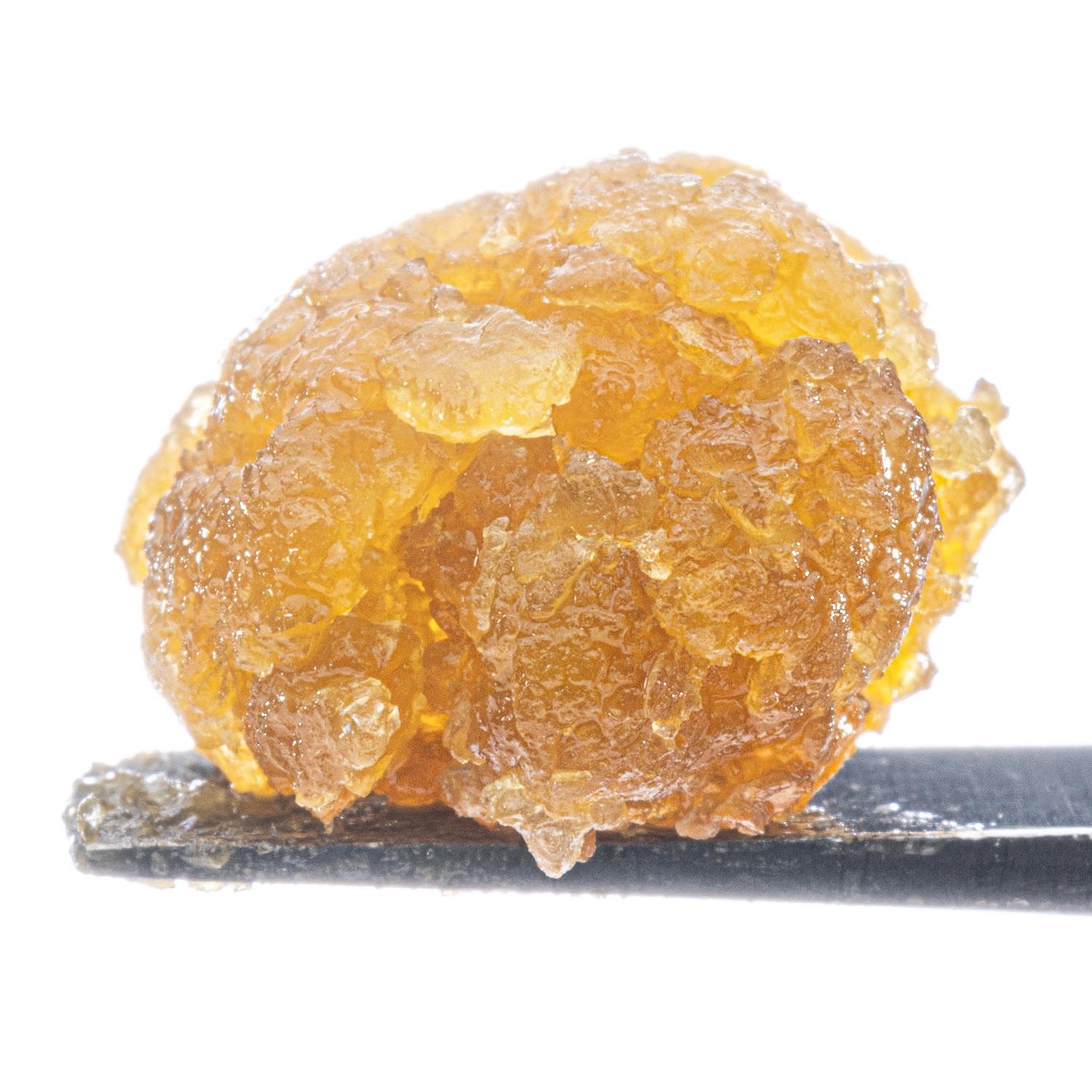 WCC | LRE Sugar 1g | H | Lemon Cherry Gelato