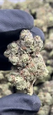 Push Pop 1oz 28% THC