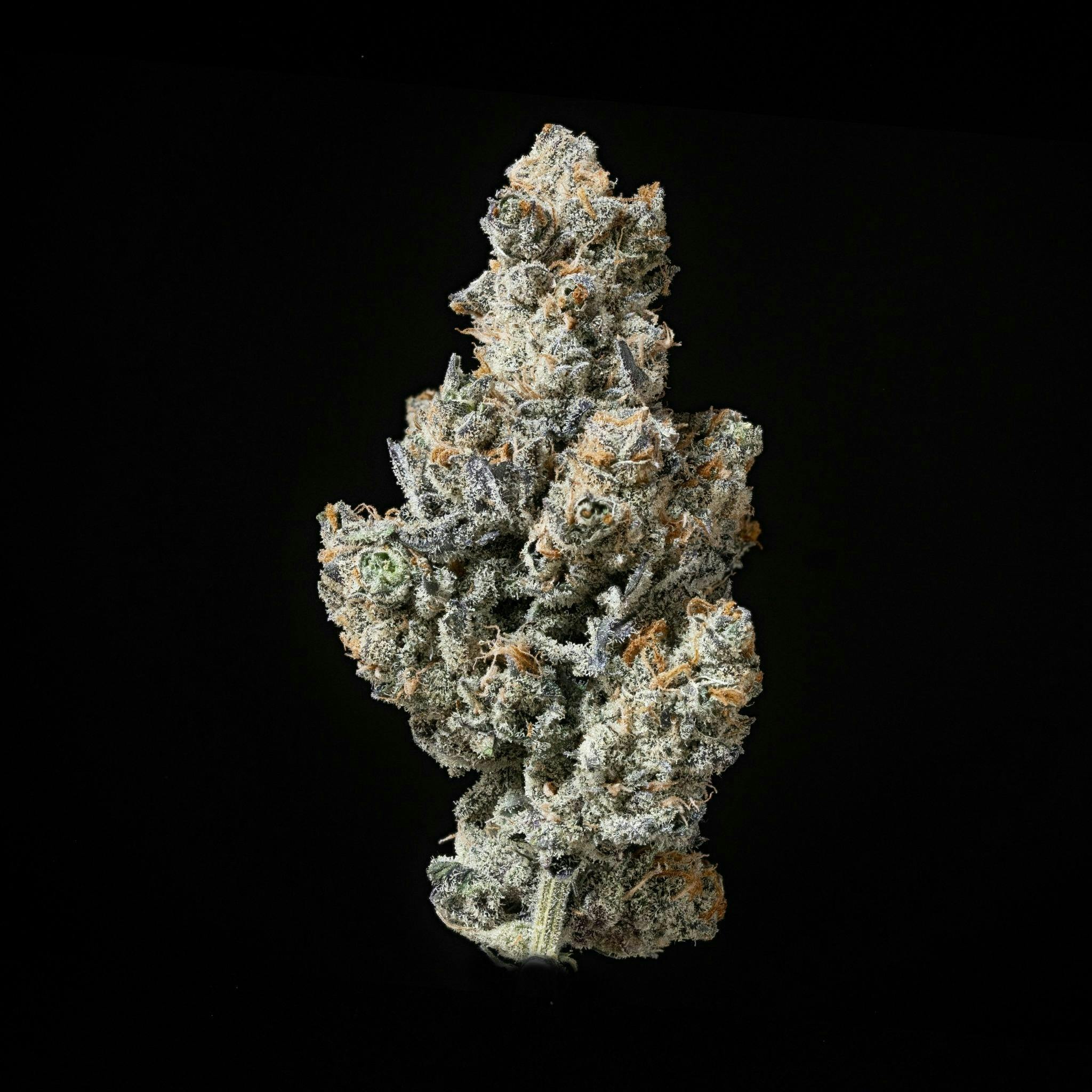 Sticky Status | Permanent Pie | Big Buds | 3.5g