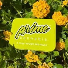 Prime Cannabis Limeade Infused Pre-Roll Pack 0.5g ea | 3-Pack