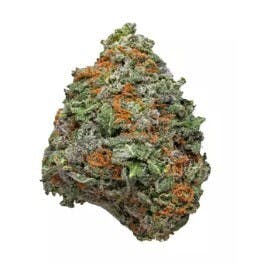 High Lights | OG Kush POPCORN