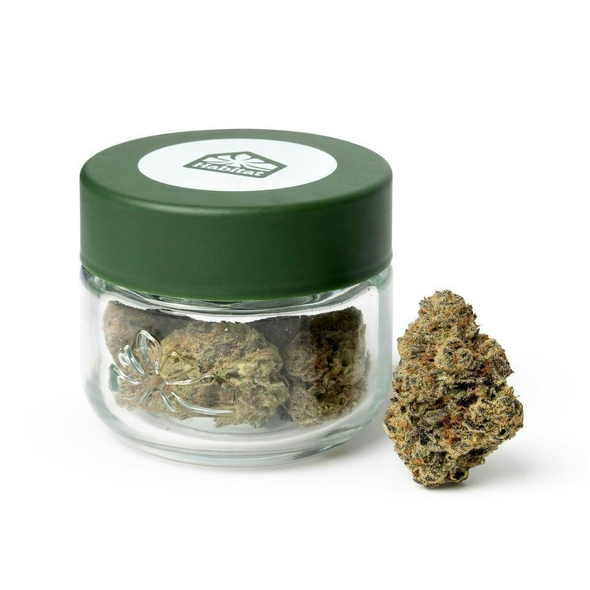 Habitat | Roze | Big Buds | 3.5g