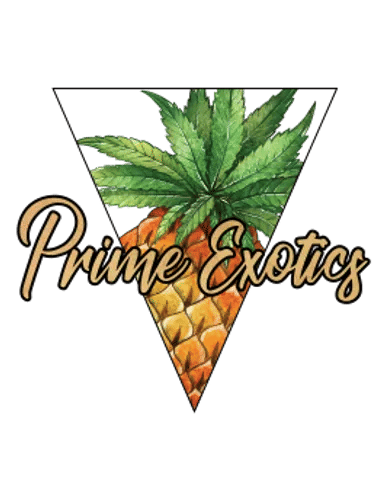 Prime Exotics - Gushers - 14g