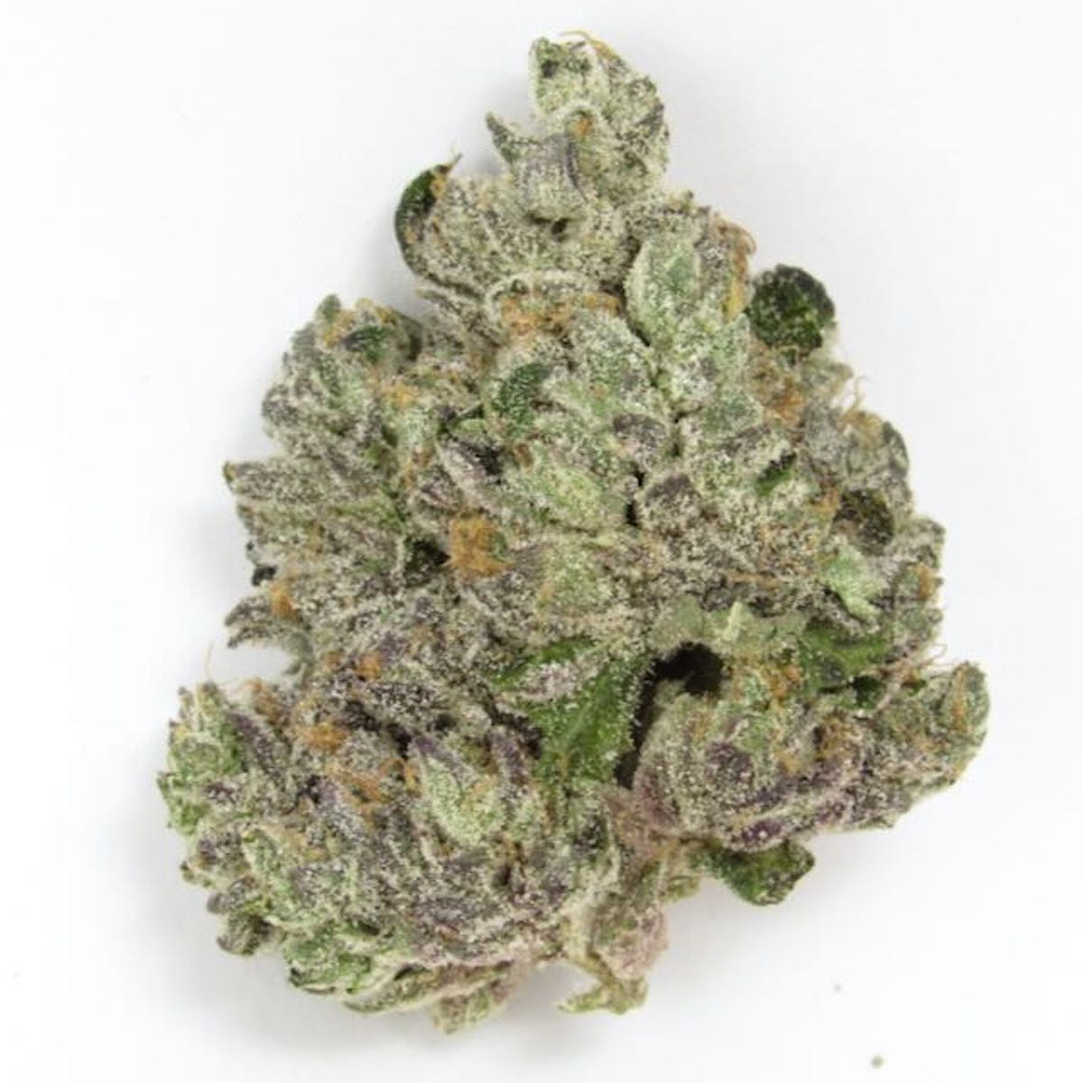 (PROMO) GOTTI BELTZ 3.5G FLOWER